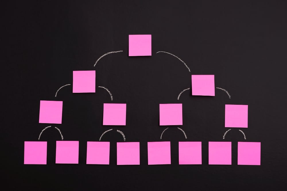 Accounting firm organizational structure